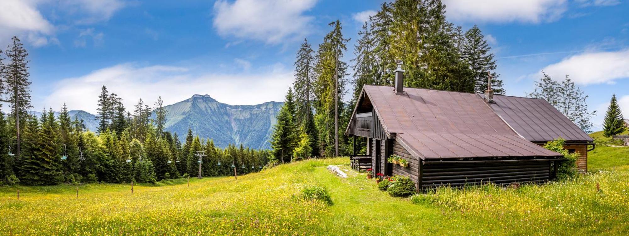 Schnaitstadl-Alm Selbstversorgerhuette Krispl Luaran gambar